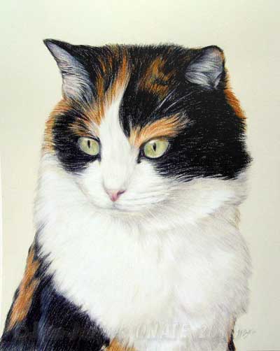 Portrait artistique de chat